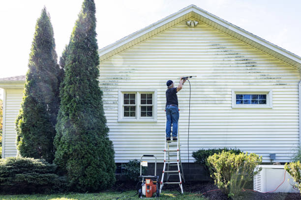 Best Solar Panel Cleaning  in Baldwin, LA